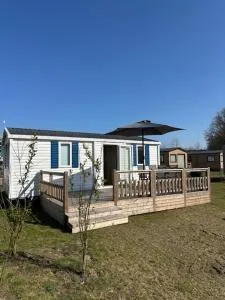 Figaro - Gasselte, Drenthe - Annen