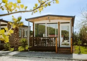 Malibu Spille - Divjakë