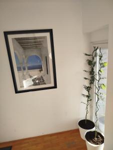 VILA RUŽA - Grand apartman 1