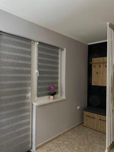 Silver Spa Apartment