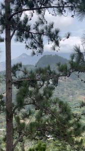 Cabaña los Angelitos