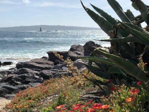 Panoramic Apartments img45