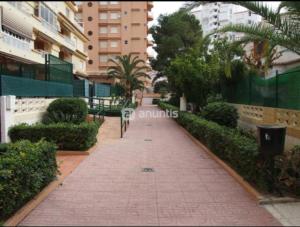 Playa Gandia, Iris, piscina AA y WiFi