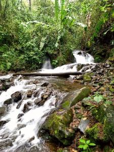 Finca en Pance