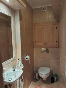 Spacious flat in Prievidza near Bojnice with a beautiful view