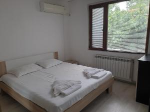 Apartament Magi