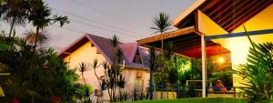 Bananaquit Tobago -Stay Near the Beach