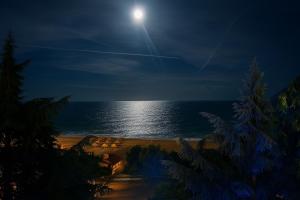 Palm Beach Hotel -Inclusive with Free beach package & Private Beach