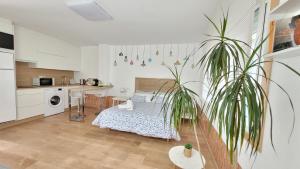 Besbello Suites - Estudio