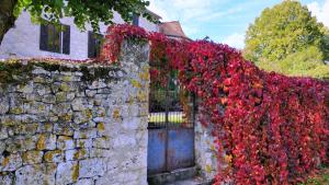 Villas Chateau de Sadillac : photos des chambres