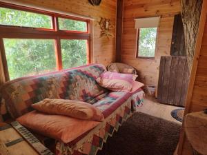Fun Treehouse Experience