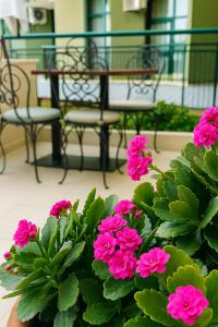 Palm Beach Hotel -Inclusive with Free beach package & Private Beach