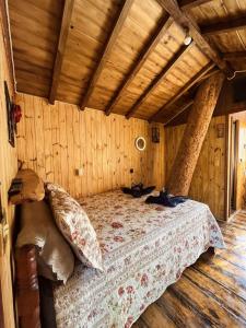 Cabana da àrvore Refúgio Jaguary