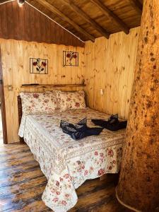 Cabana na àrvore Refúgio Jaguary