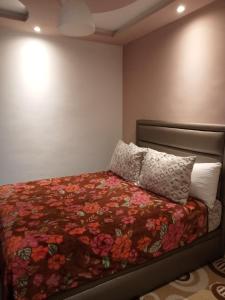 الضحى طريق أشقار العرفان3