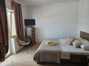 One-Bedroom Apartment with Terrace and Sea View room in Apartments by the sea Nevidjane Pasman - 8453