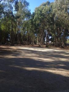 Cabaña Bosque Los Duendes