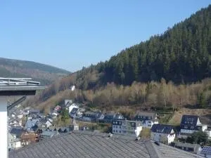 Beautiful apartment in Willingen with balcony - Schwalefeld