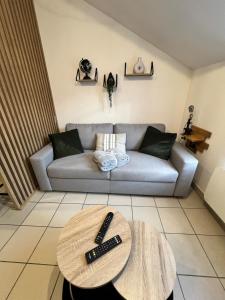 Appartements Montbel-appart - L-elegant T2 : photos des chambres