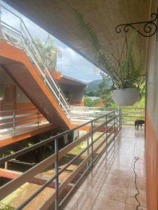 Apartamentos Brenes