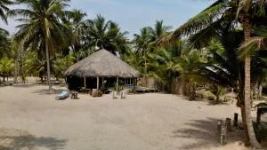 EcoPalapa Mimí - 图斯潘罗德里格斯卡诺