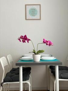 Neue Orchideen-apartments Im Haus