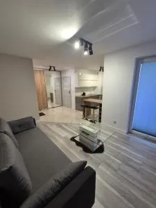 Megga Apartament z Garażem - 斯卡维纳