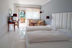 Hotel Aster