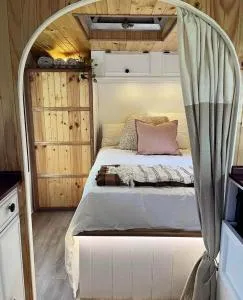 Vintage Coral Pink - Picnic Bay