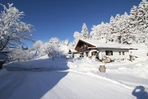 One-Bedroom Apartment room in Bayern Resort - Premium Ferienwohnungen