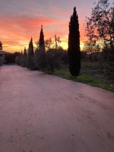 dalla campagna al mare