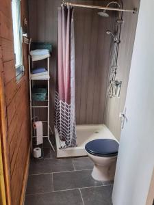 Maisons de vacances Tiny house-chalet a l-etang : photos des chambres