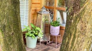 The Lake House Retreat & Watersports