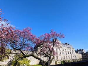 Appartements Petit corbin : photos des chambres