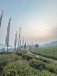 Lazim Homestay & Tea Spot