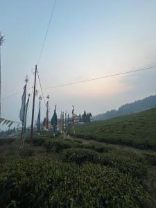 Lazim Homestay & Tea Spot