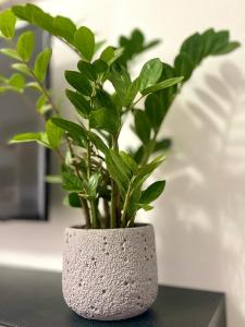 Guesthouse Shehu Ksamil