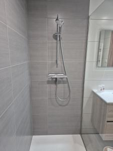 Appartements Gites Thirion : photos des chambres