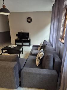 Appartements Gites Thirion : photos des chambres