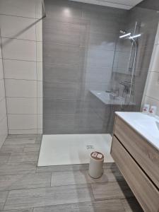 Appartements Gites Thirion : photos des chambres