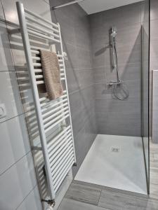 Appartements Gites Thirion : photos des chambres