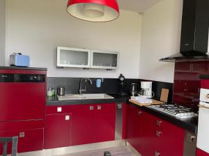 Bâtisse au cœur dun vignoble