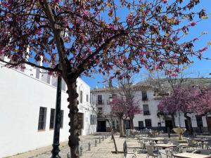 El Patio del Albaicín