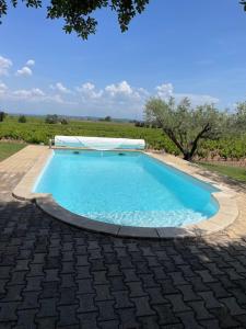 Bâtisse au cœur dun vignoble