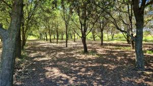 Appartements Gite a la ferme Chez Chris : photos des chambres