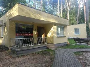 LubSol Lubniewice - 乔左维尔考普尔斯基