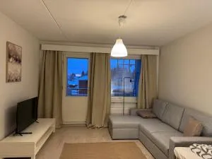 Kotimaailma - Kaksio keskustassa - Nedervetil