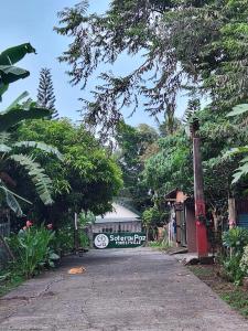 Sotera and Paz Forestville