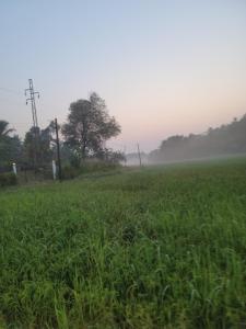 Sampatha Southern Villa & Restaurant & Cooking class -Talalla