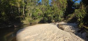 Glass House retreat on scenic Bogue Falaya river